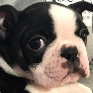 Meet your Posher, Alana